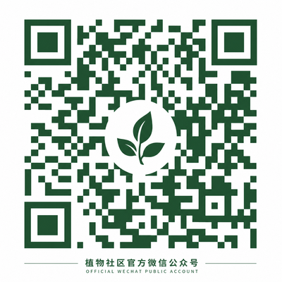 黑丝公众号二维码